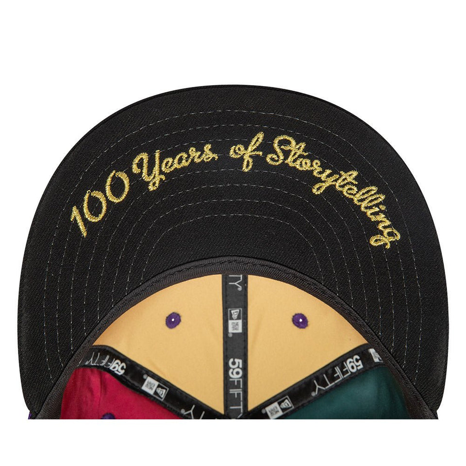 帽子NEW ERA ワーナー100周年ルーニーテューンズ×ハリーポッター